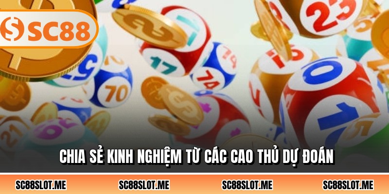 Chia sẻ kinh nghiệm từ các cao thủ dự đoán