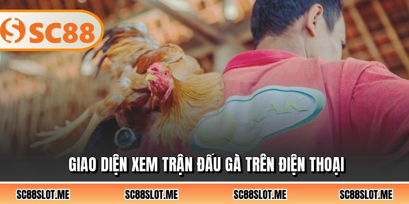 Giao diện xem trận đấu gà trên điện thoại