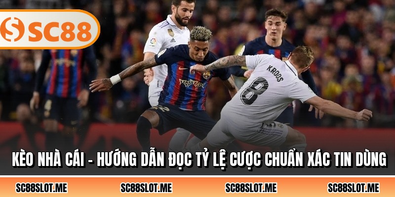 Kèo Nhà Cái - Hướng Dẫn Đọc Tỷ Lệ Cược Chuẩn Xác Tin Dùng