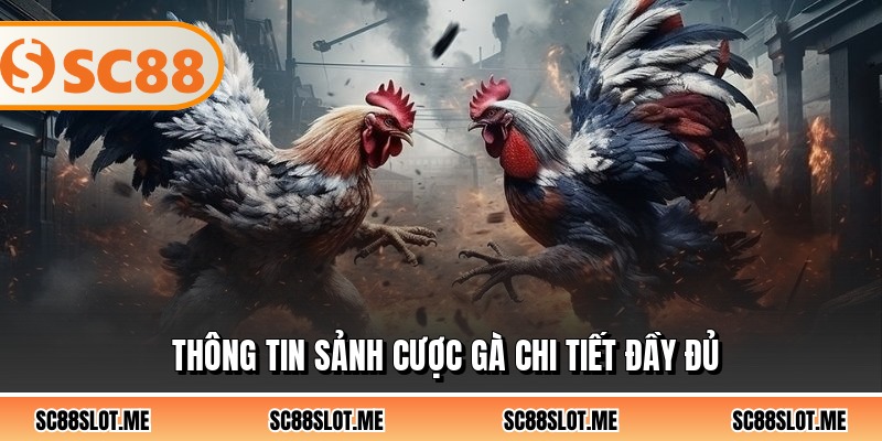 Thông tin sảnh cược gà chi tiết đầy đủ