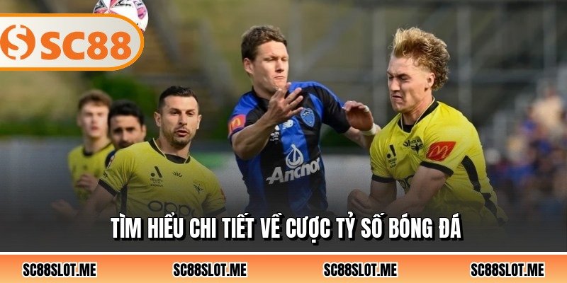 Tìm hiểu chi tiết về cược tỷ số bóng đá