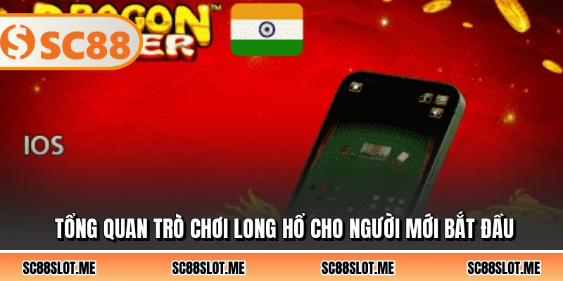 Tổng quan trò chơi long hổ cho người mới bắt đầu